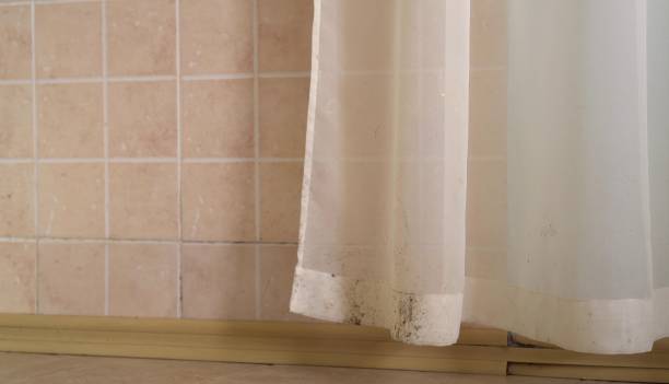 Environmental Consulting for Mold Prevention in Yreka, CA